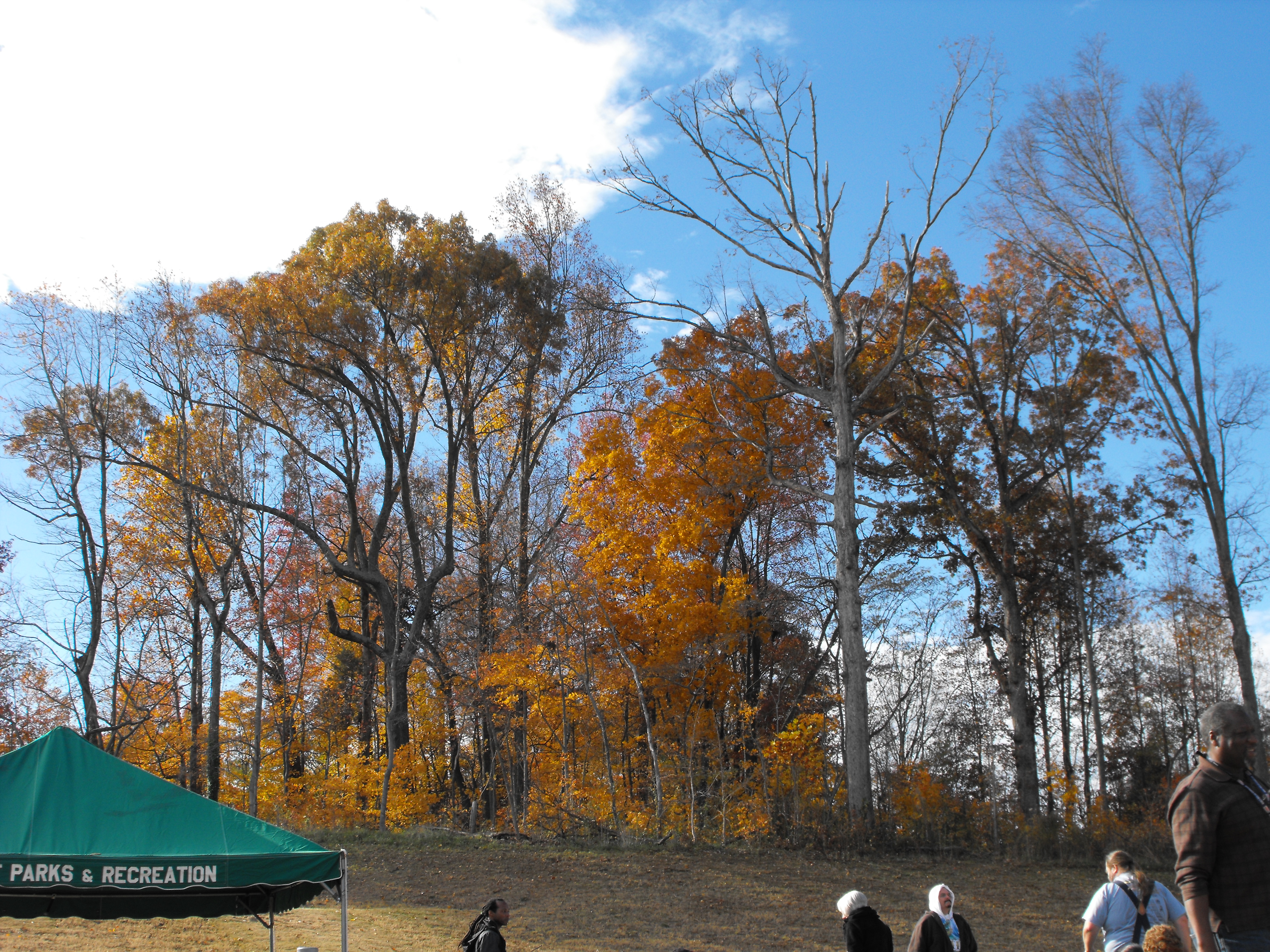 ./2011/Fall Games Soccer/Fall Games Soccer 1109-11100032.JPG